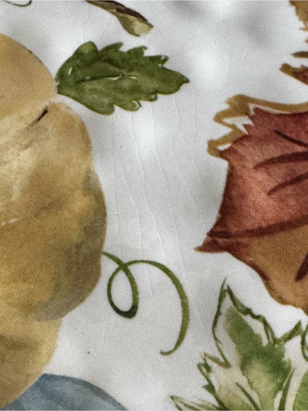 Robert Stanley Dessert Plates Autumn Pumpkin & Leaf Stoneware Holiday Set of 7 - Picture 6 of 9
